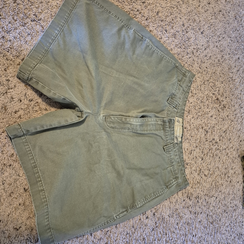 American Eagle Outfitters Olive Green Men’s Flat Front Shorts